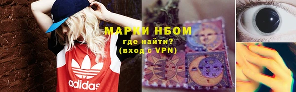 ПСИЛОЦИБИНОВЫЕ ГРИБЫ Корсаков