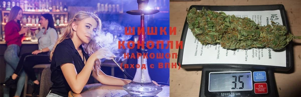ПСИЛОЦИБИНОВЫЕ ГРИБЫ Корсаков