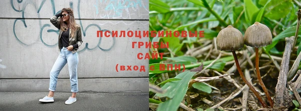 ПСИЛОЦИБИНОВЫЕ ГРИБЫ Корсаков