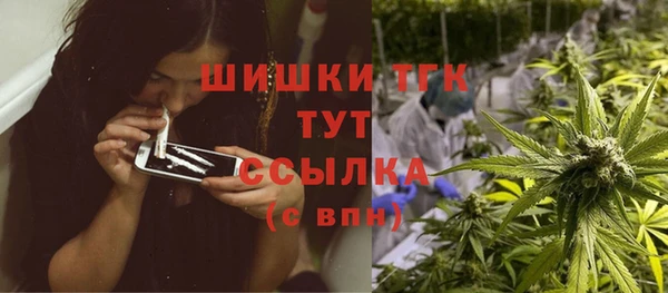 амф Костерёво
