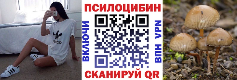 Псилоцибиновые грибы MAGIC MUSHROOMS  Купить закладки  Горно-Алтайск 